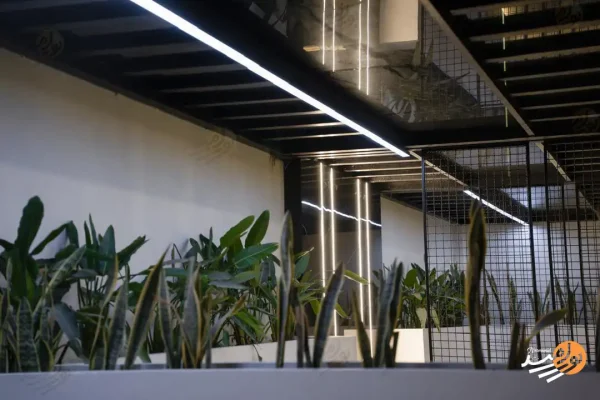 WhatsApp Image 2025-06-28 at 8.47.10 AM (2) copy